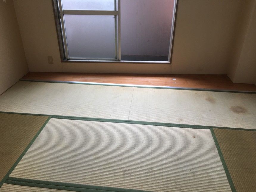 大阪市浪速区での特殊清掃|作業後