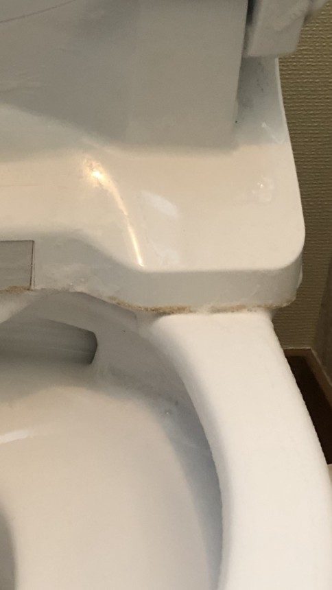 便座を上げた裏側の汚れ