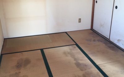 マンションの一室掃除後