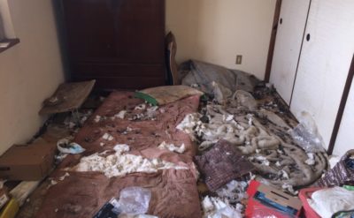 マンションの一室（犬の糞まみれ）